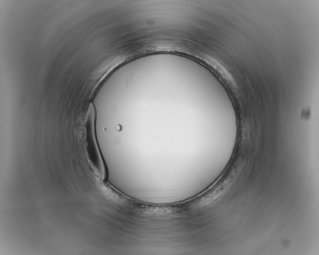 X0000090750801200708172026