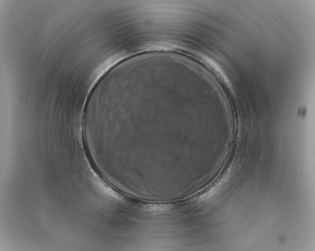 X0000090750802200708172026