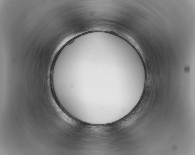 X0000090750803200708172026