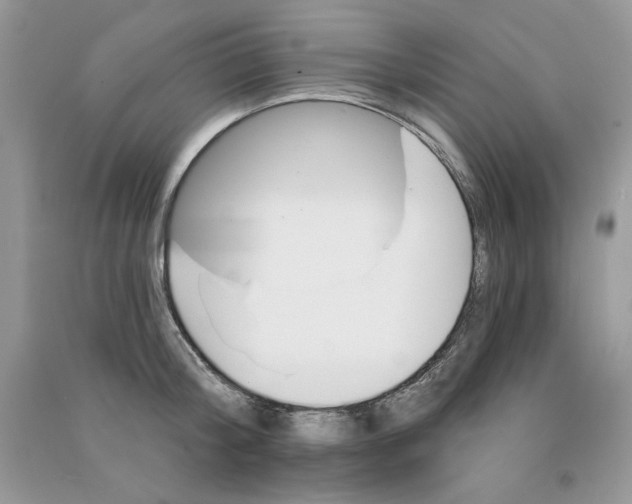 X0000090750804200708172026