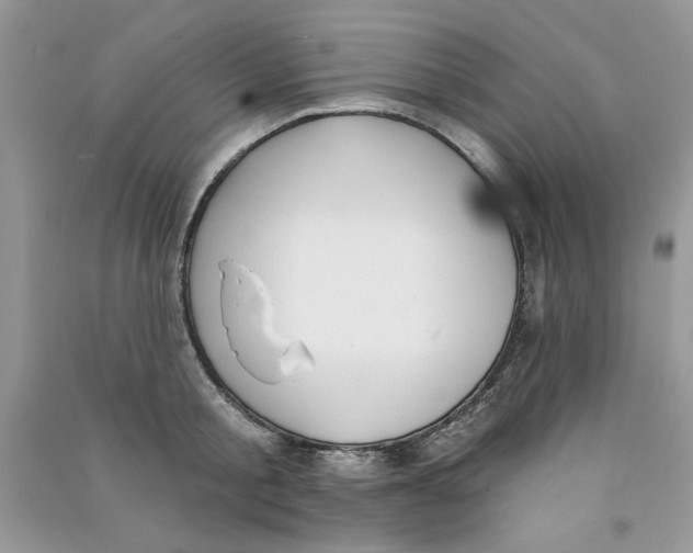 X0000090750805200708172026