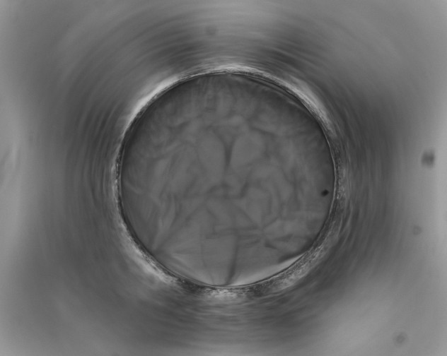 X0000090750806200708172026
