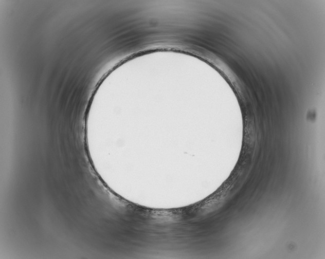 X0000090750807200708172026