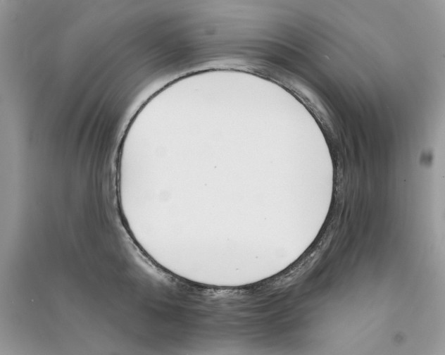 X0000090750808200708172026