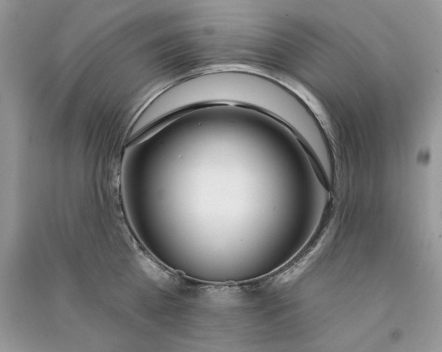 X0000090750809200708172026