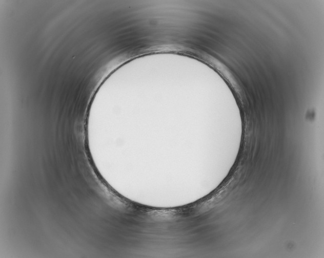 X0000090750810200708172026