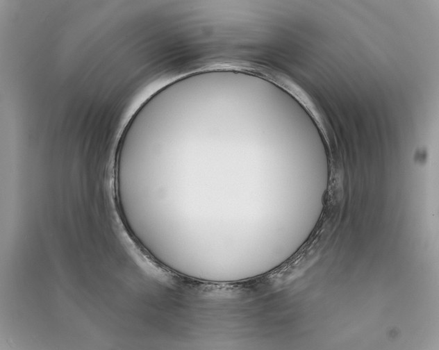 X0000090750811200708172026