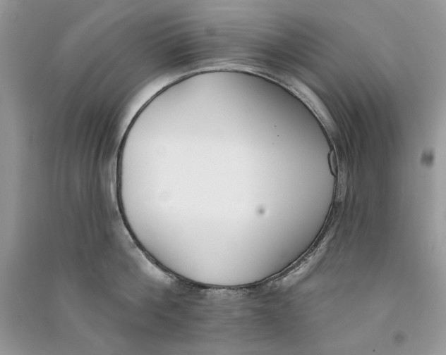 X0000090750812200708172026