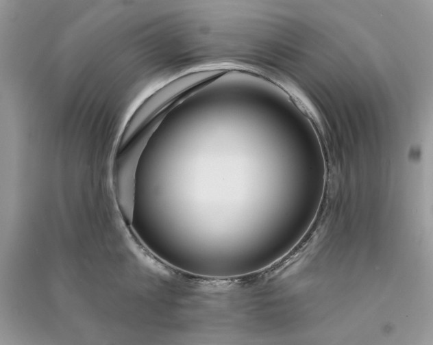 X0000090750813200708172026
