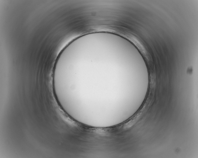 X0000090750814200708172026