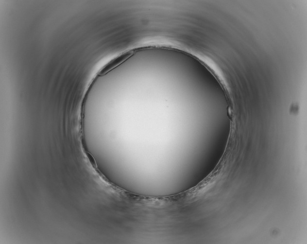 X0000090750815200708172026