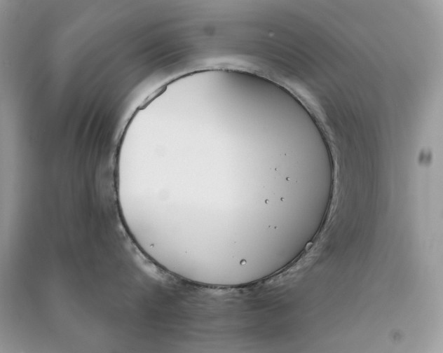 X0000090750816200708172026