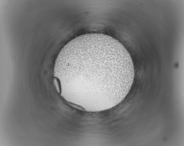 X0000090750817200708172025