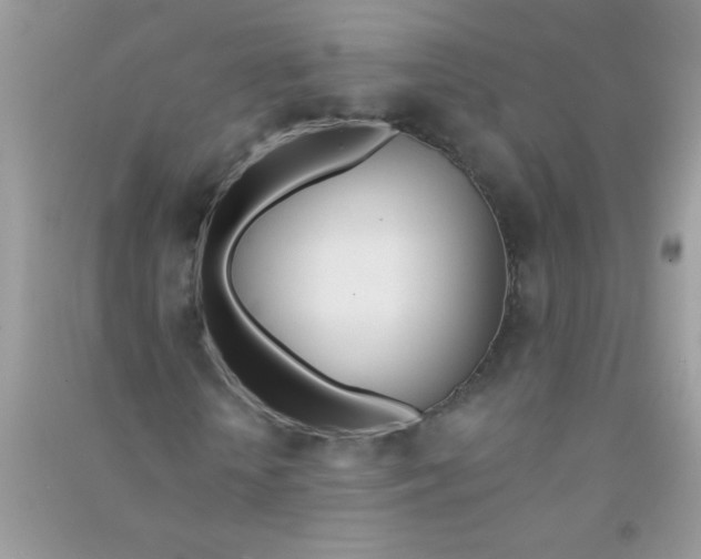 X0000090750818200708172025