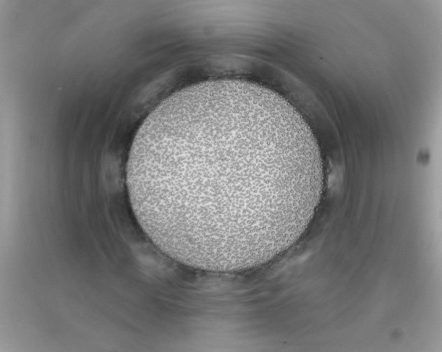 X0000090750819200708172025