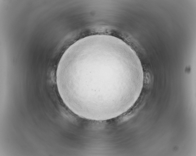 X0000090750820200708172025