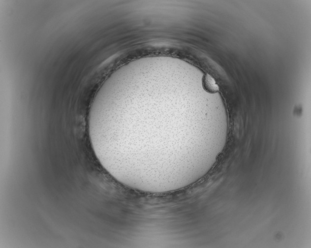 X0000090750821200708172025