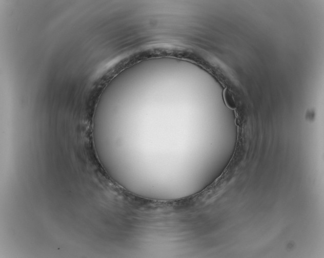 X0000090750822200708172025
