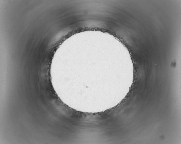 X0000090750824200708172025