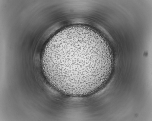 X0000090750825200708172025