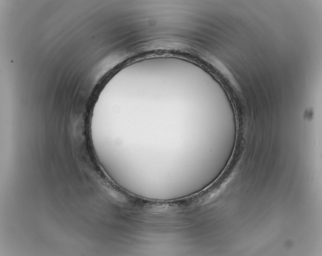 X0000090750826200708172025