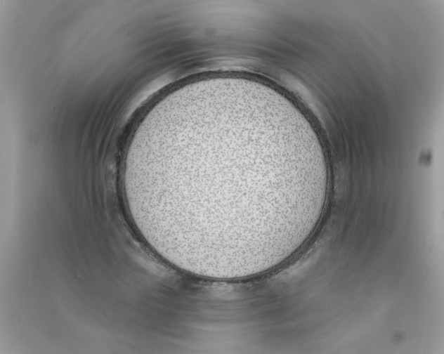 X0000090750827200708172025