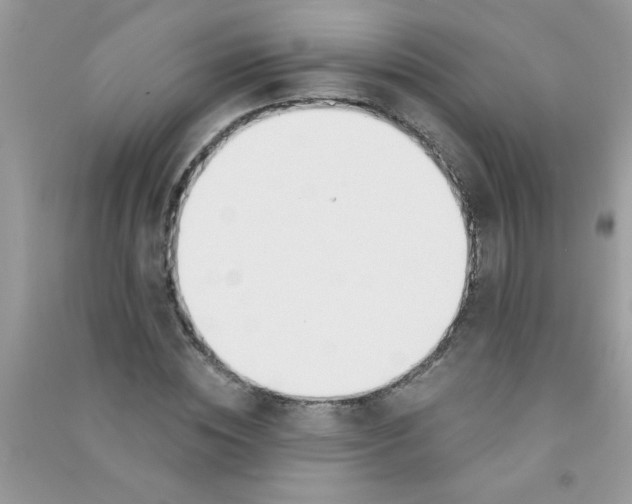 X0000090750828200708172025