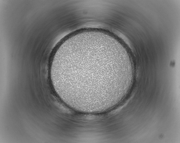 X0000090750829200708172025