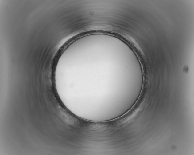 X0000090750830200708172025
