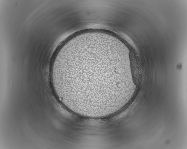 X0000090750831200708172026