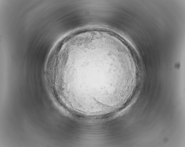 X0000090750832200708172026