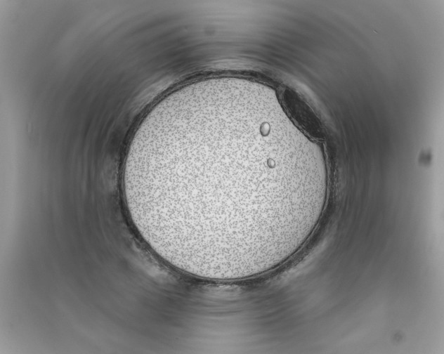 X0000090750833200708172026