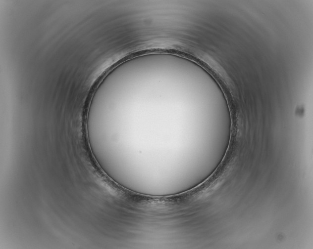 X0000090750834200708172026