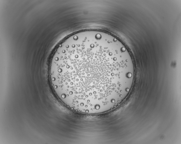X0000090750835200708172026