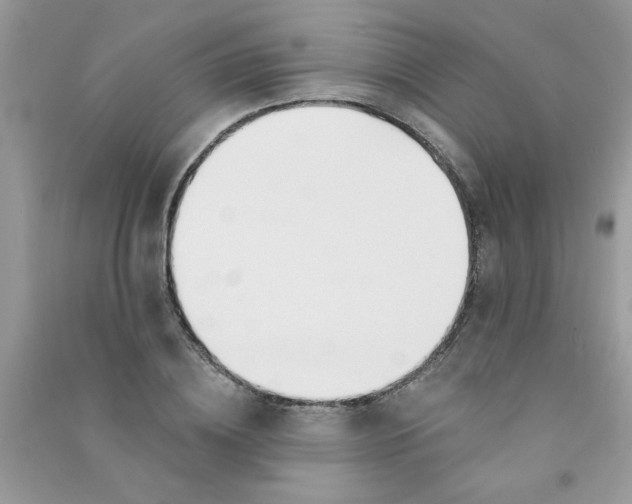 X0000090750836200708172026