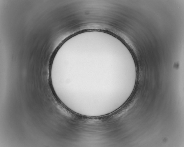 X0000090750837200708172026