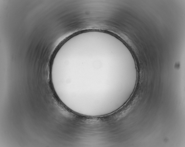 X0000090750838200708172026