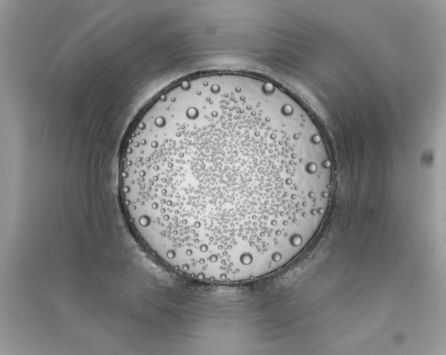 X0000090750839200708172026
