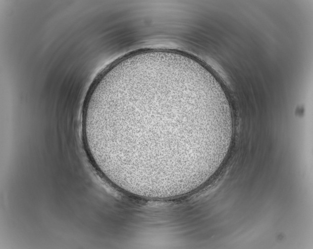 X0000090750840200708172026