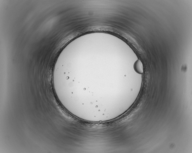 X0000090750841200708172026
