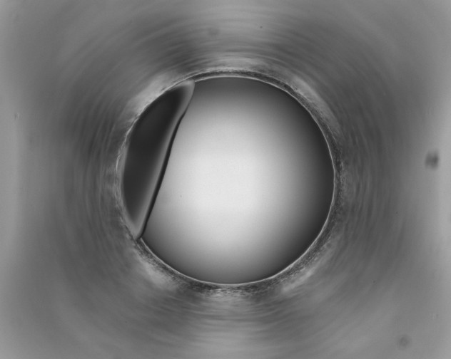 X0000090750842200708172026