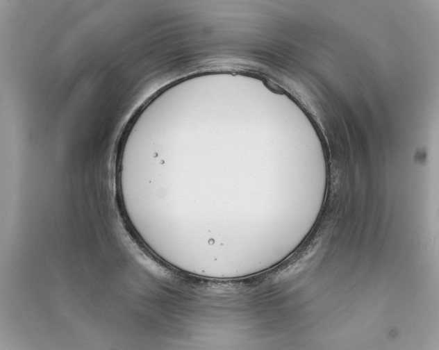 X0000090750843200708172026
