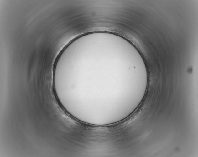 X0000090750844200708172026