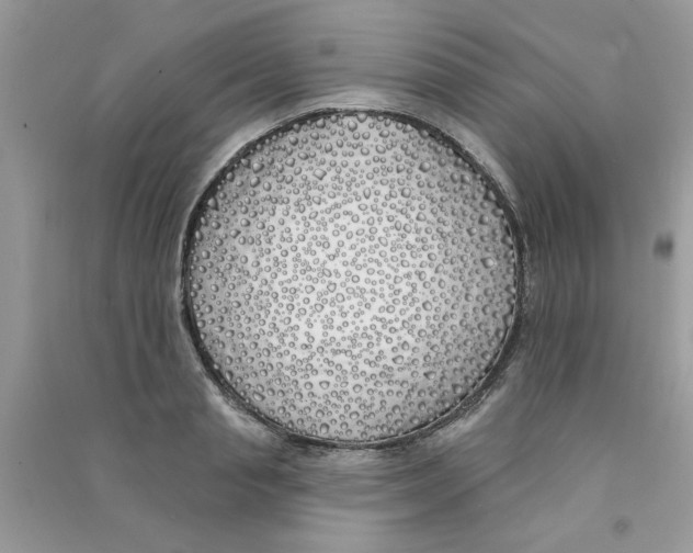 X0000090750845200708172026