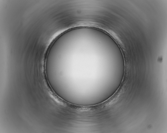 X0000090750846200708172026