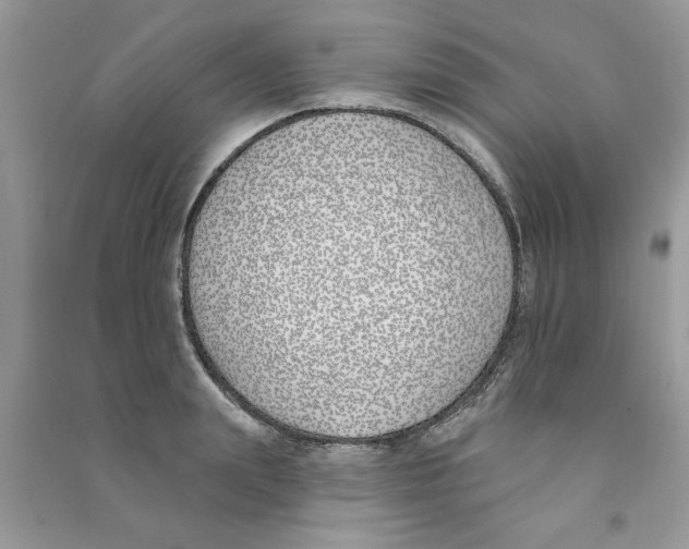 X0000090750847200708172026