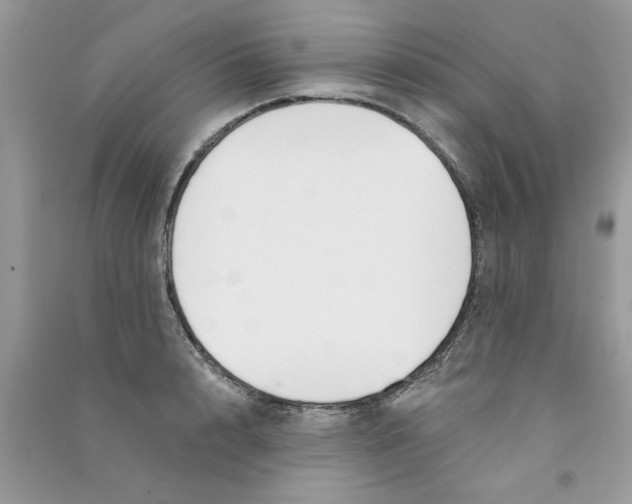 X0000090750848200708172026