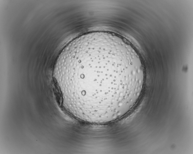 X0000090750849200708172026
