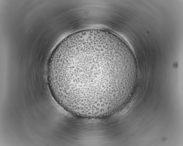 X0000090750851200708172026