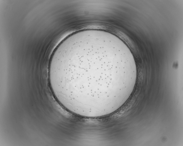 X0000090750852200708172026